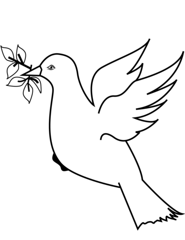 Dove With Leaves Coloring Page